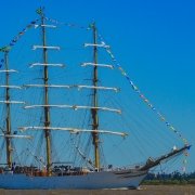 Foto: Fernando Magalhães/Veleiro Gentoo
